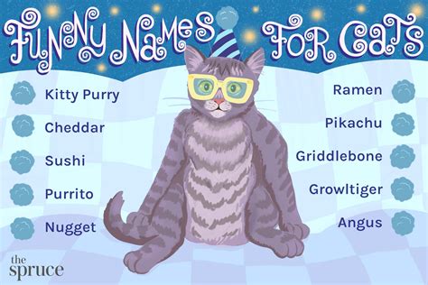 odd cat names|117 Funny Cat Names .